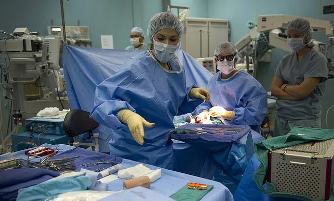 zcygv5r6qd9eieumv7q0pay6t zorg2