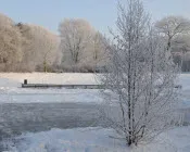 zl55a0hz1wm7heur5fff0wvyl 115961