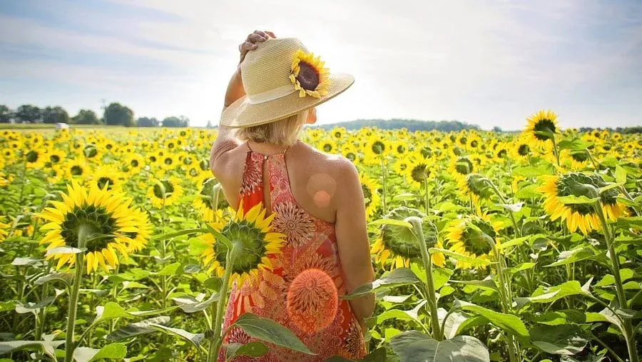 zomer21