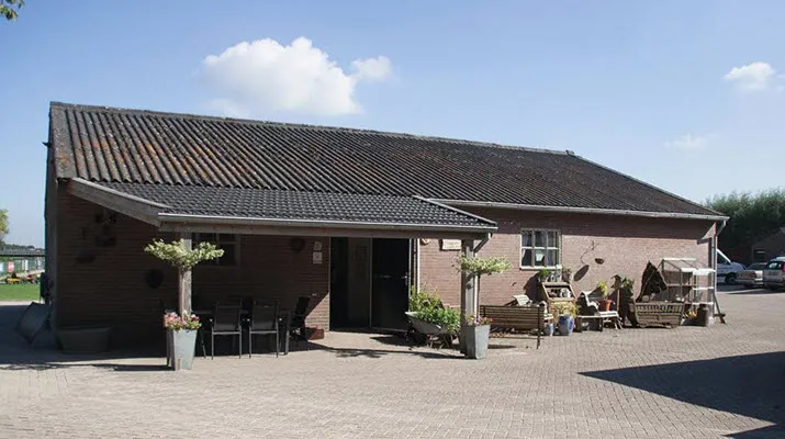 zonneke6