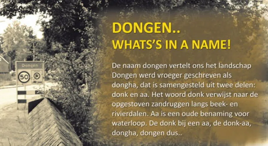 looierij2011