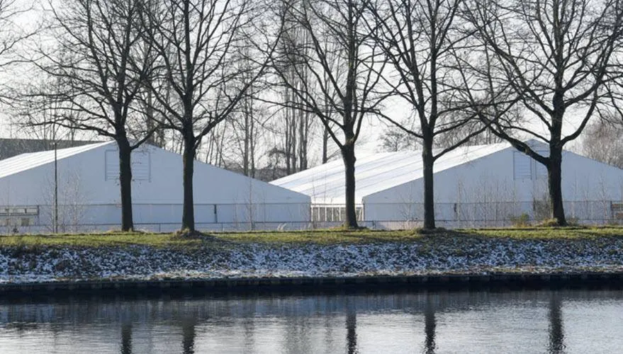 nestel2