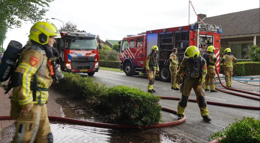 brand11