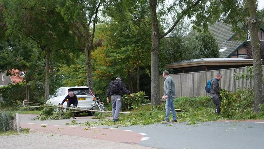 boomwesterlaan