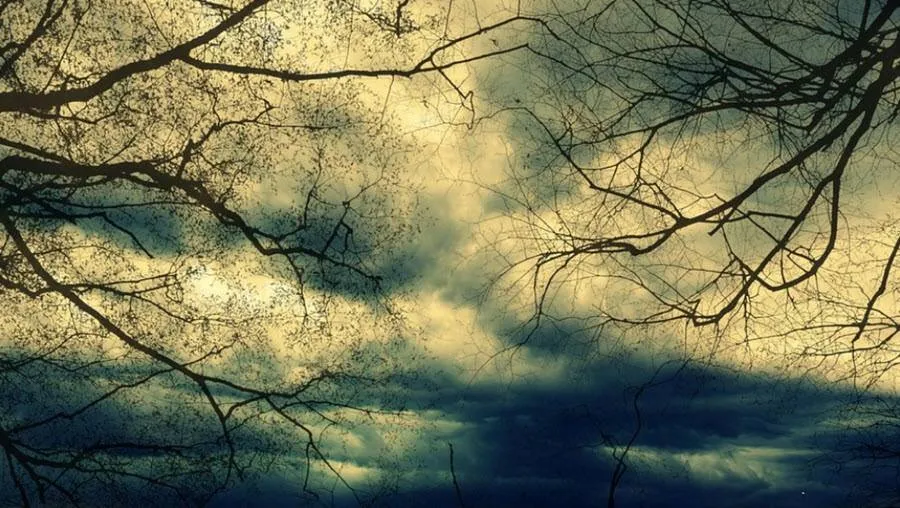 storm25