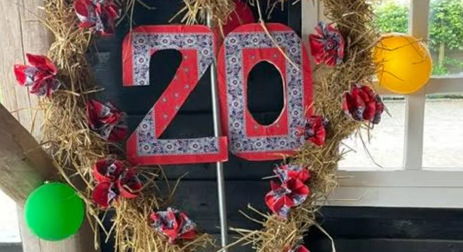20