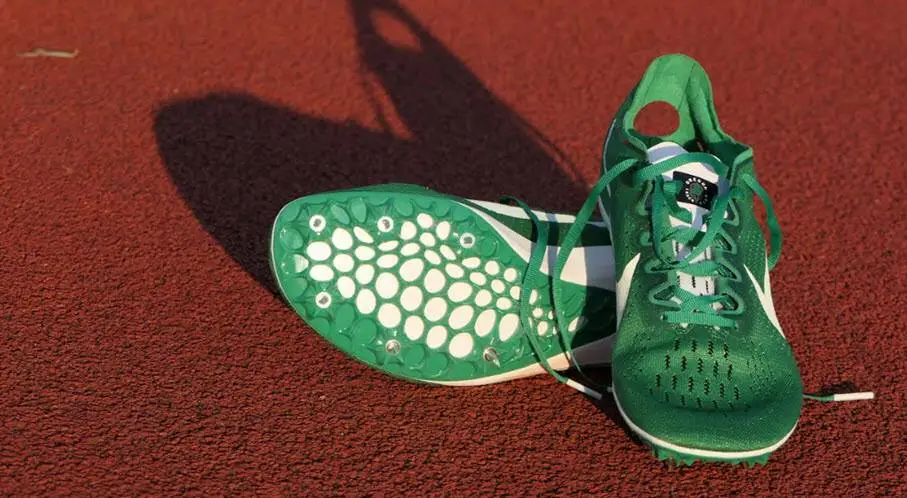 sportschoienen