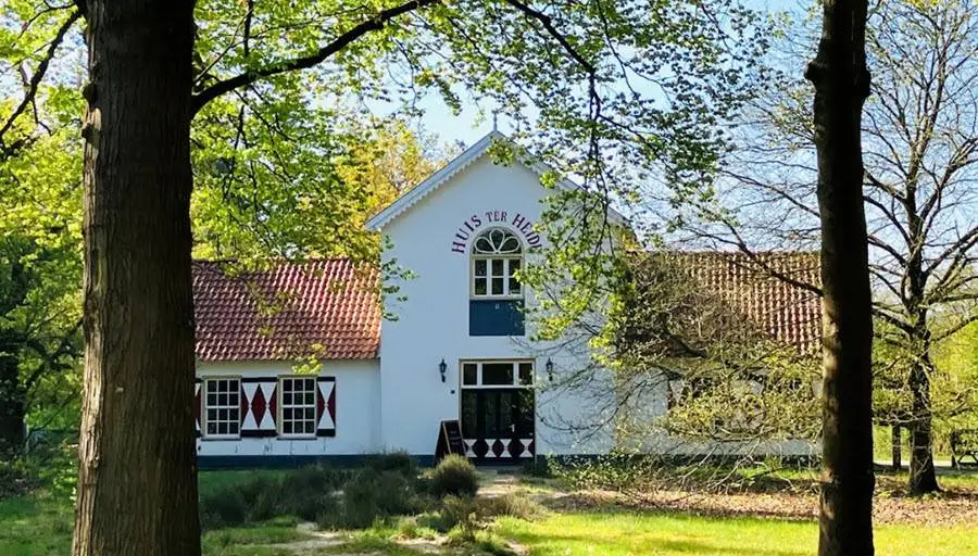 hth1