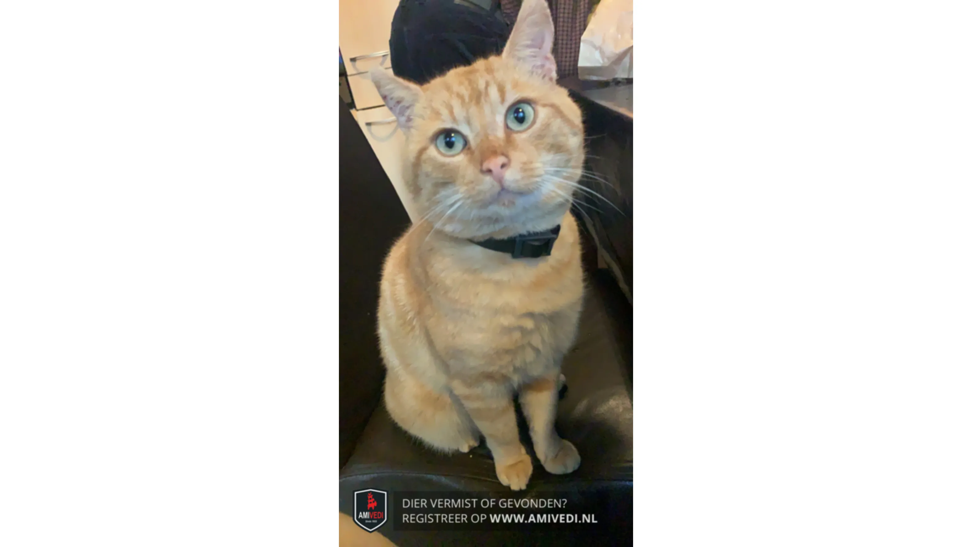 1689424-zjfoxg0r-xlwm