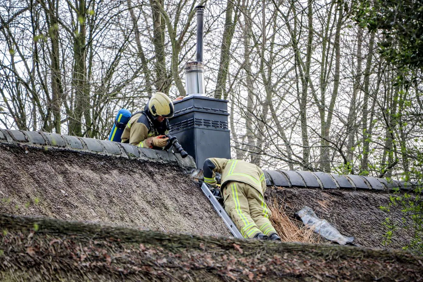 20240310161526-img-7069