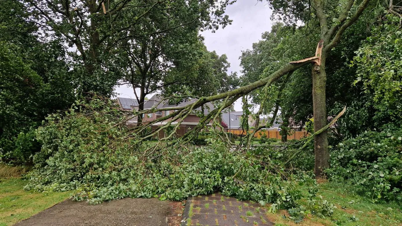 antares-klazienaveen