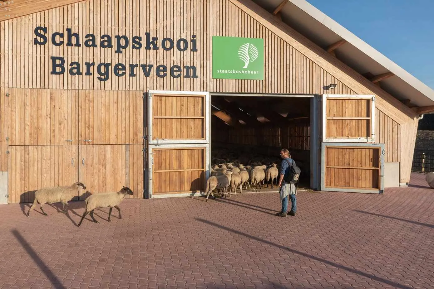 bargerveen-schaapskooi