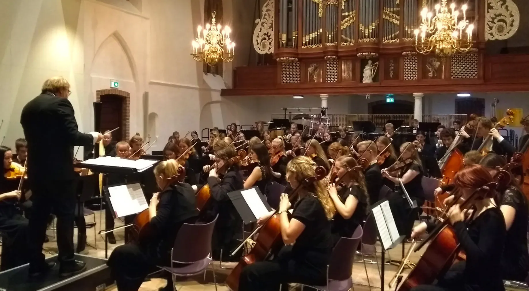 beilen-stefanuskerk-vuurvogel