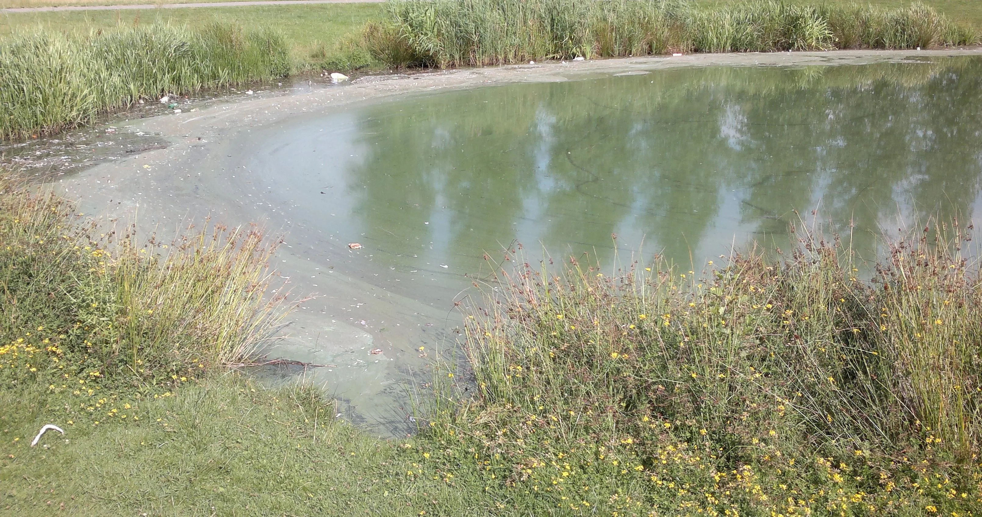 blauwalg-archieffoto1-1