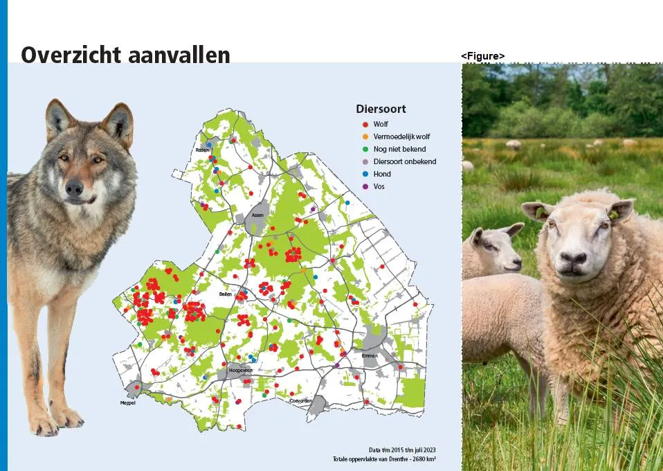 drenthe-wolf