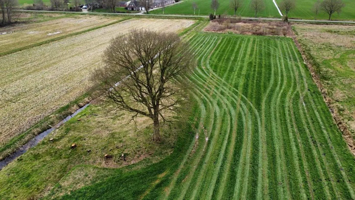 eik-hoogeveen-riegmeer