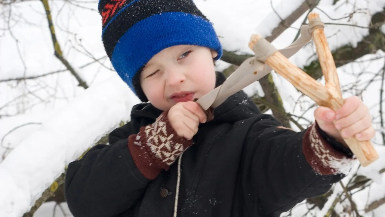 emmen-prugeltie-pixabay