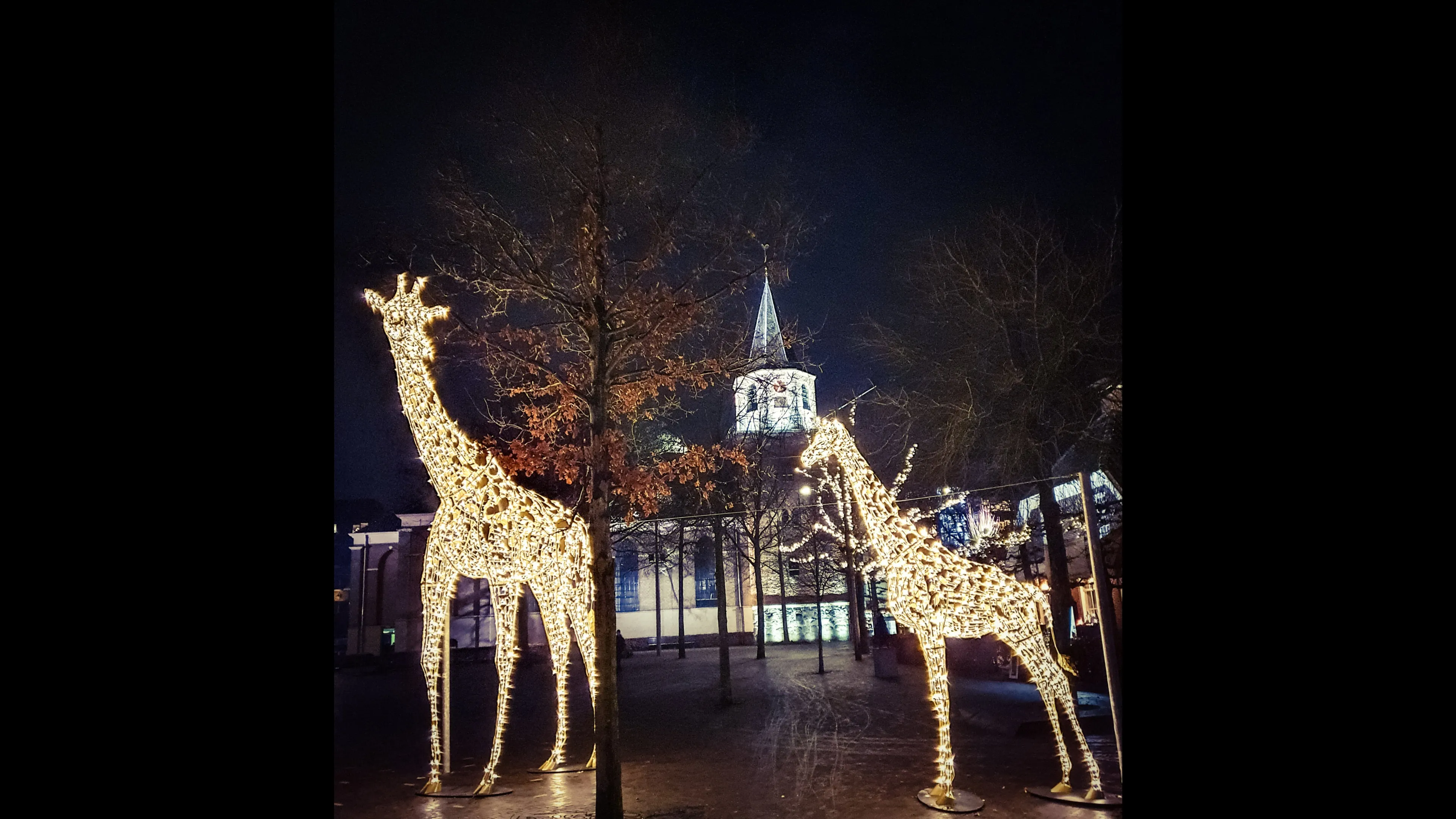 emmen-verlichtedieren-josewithagenbryan11