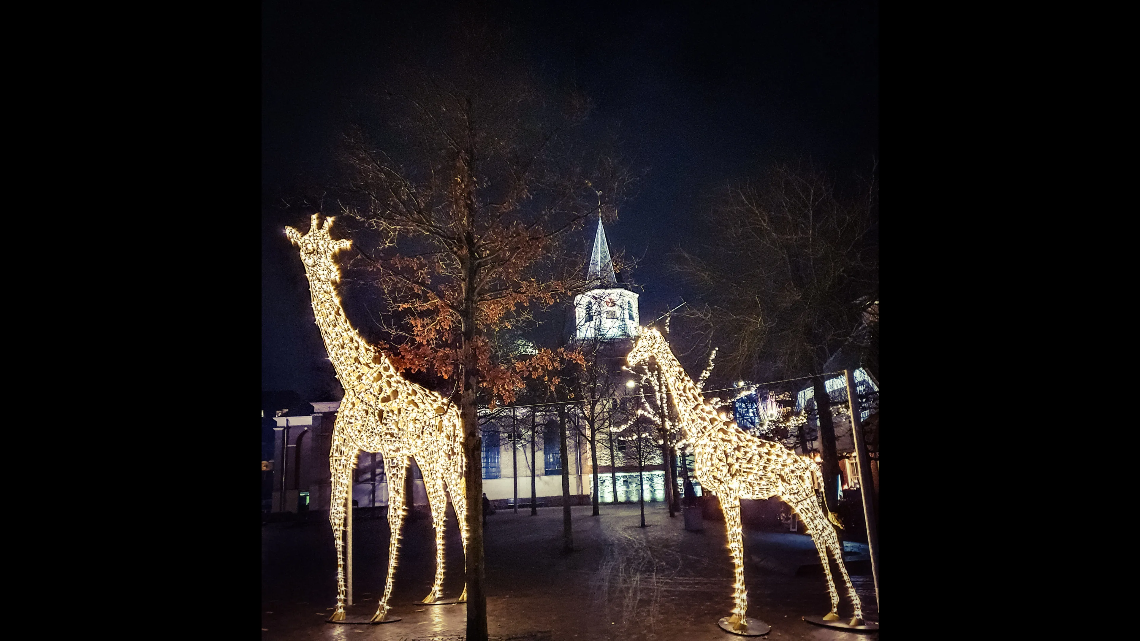 emmen-verlichtedieren-josewithagenbryan11