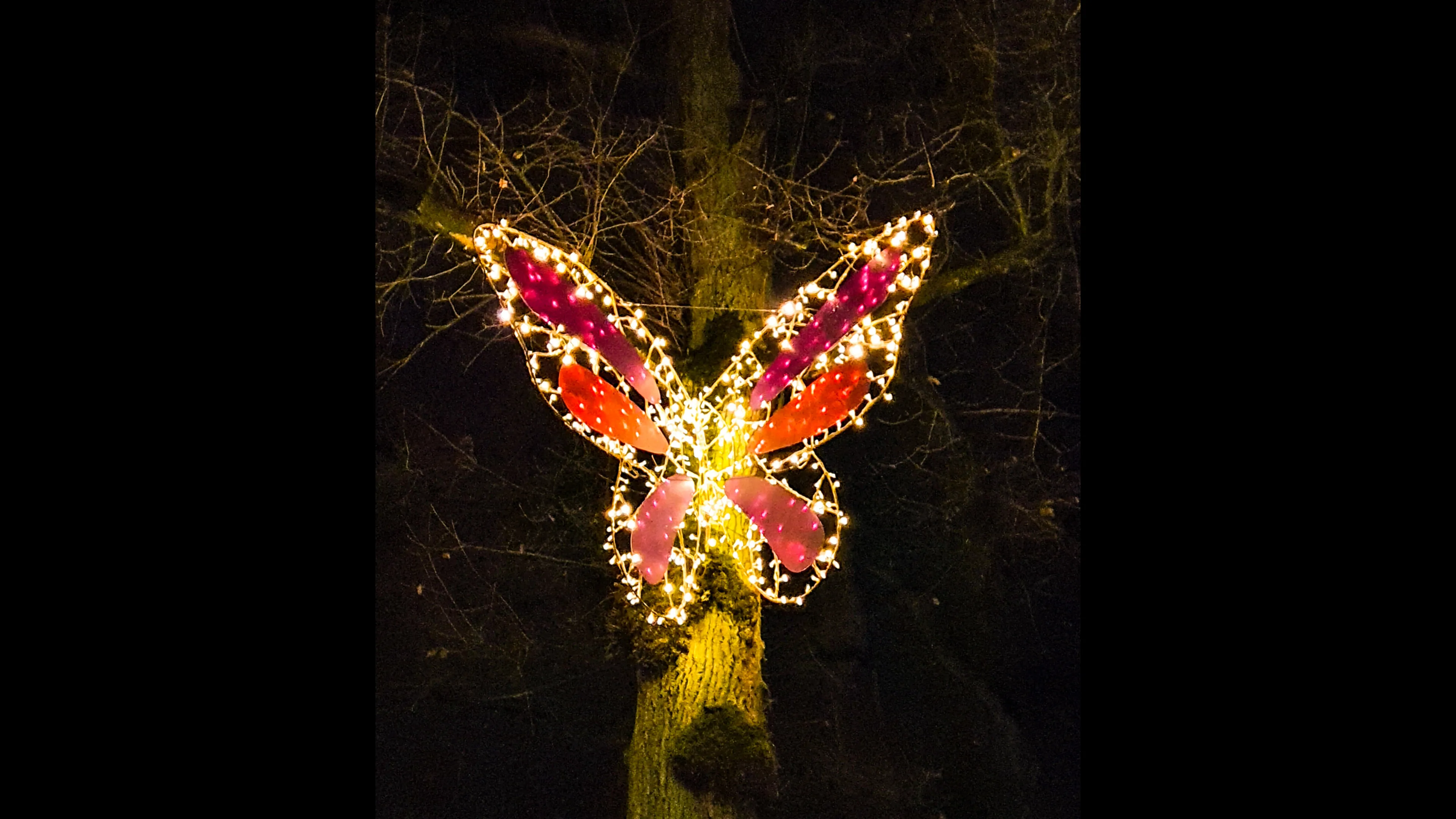 emmen-verlichtedieren-josewithagenbryan2