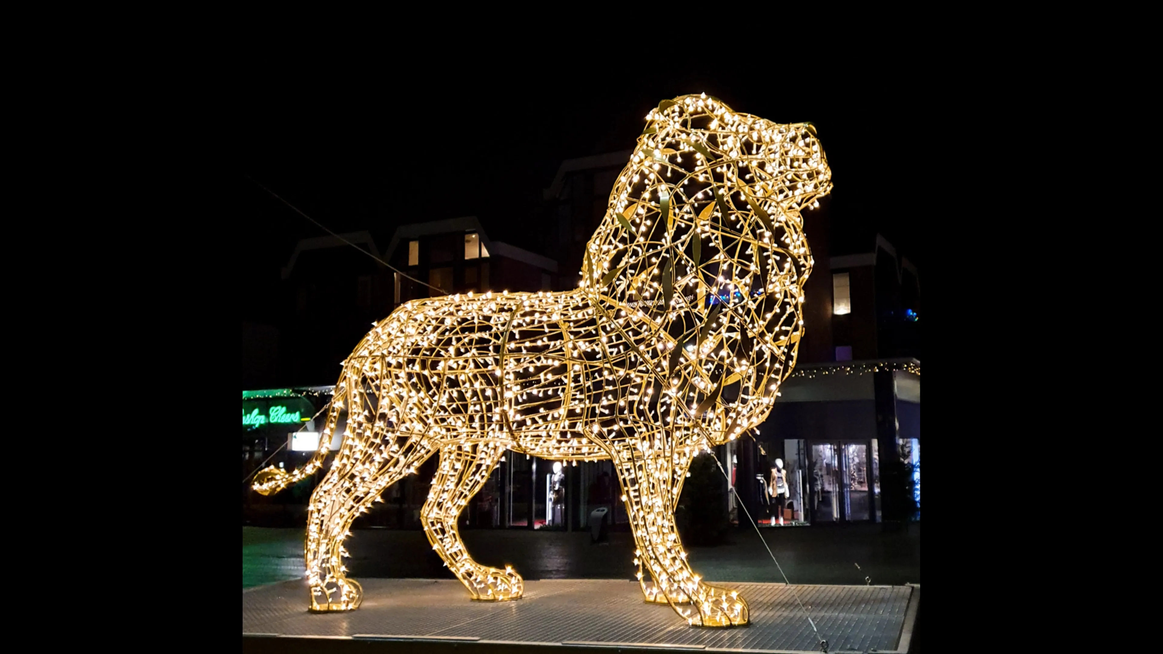 emmen-verlichtedieren-josewithagenbryan3