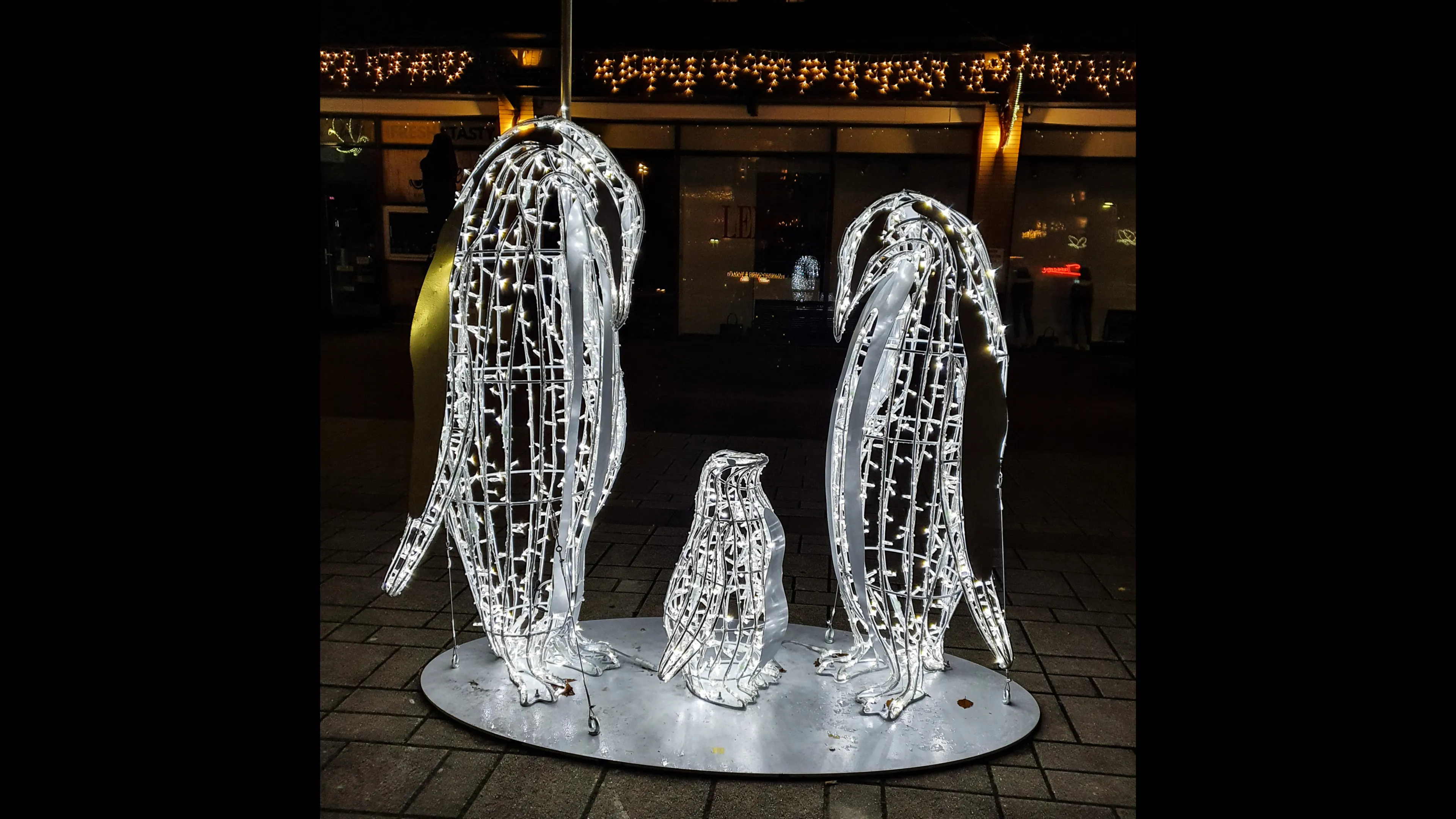 emmen-verlichtedieren-josewithagenbryan4