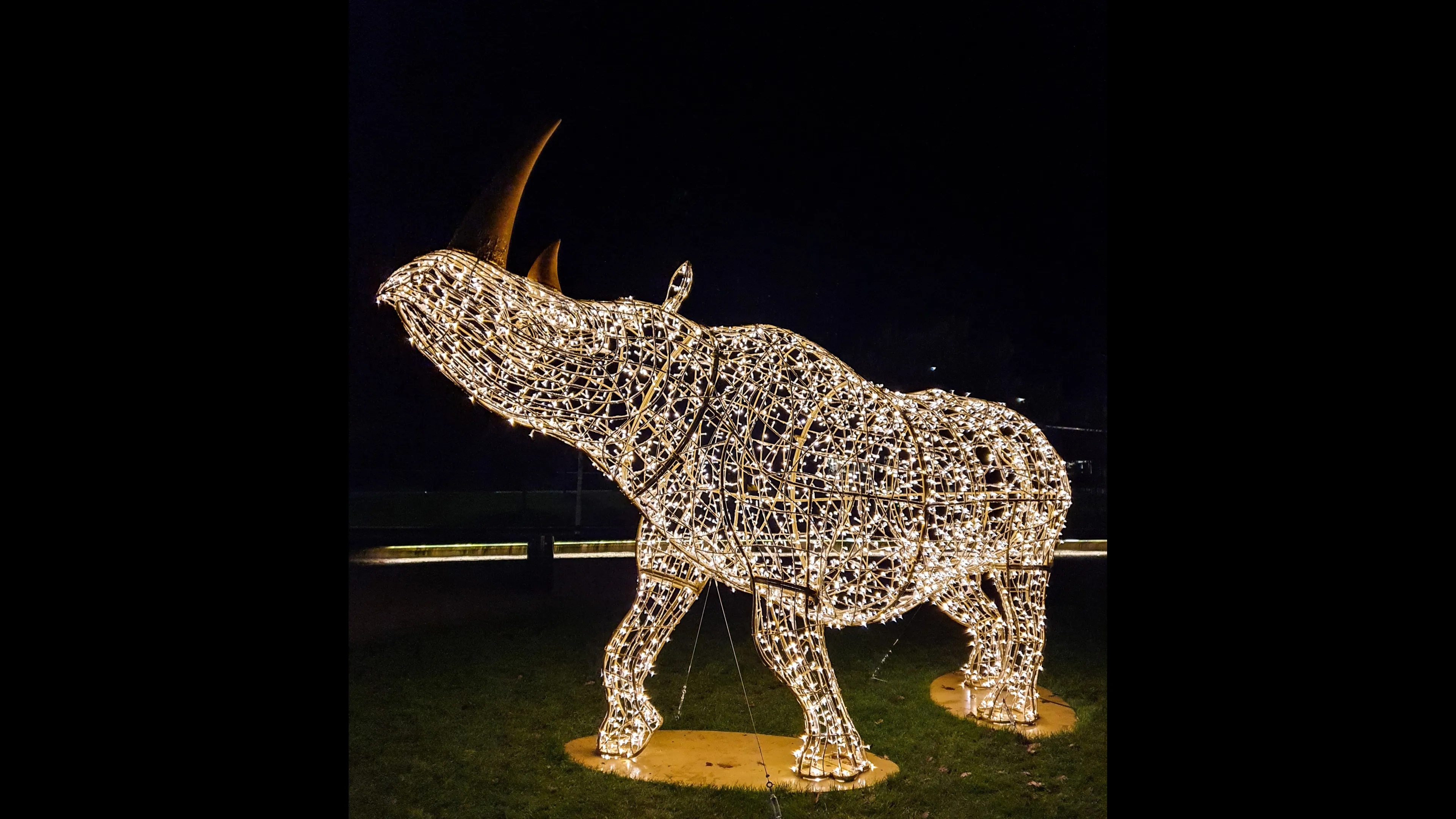 emmen-verlichtedieren-josewithagenbryan7