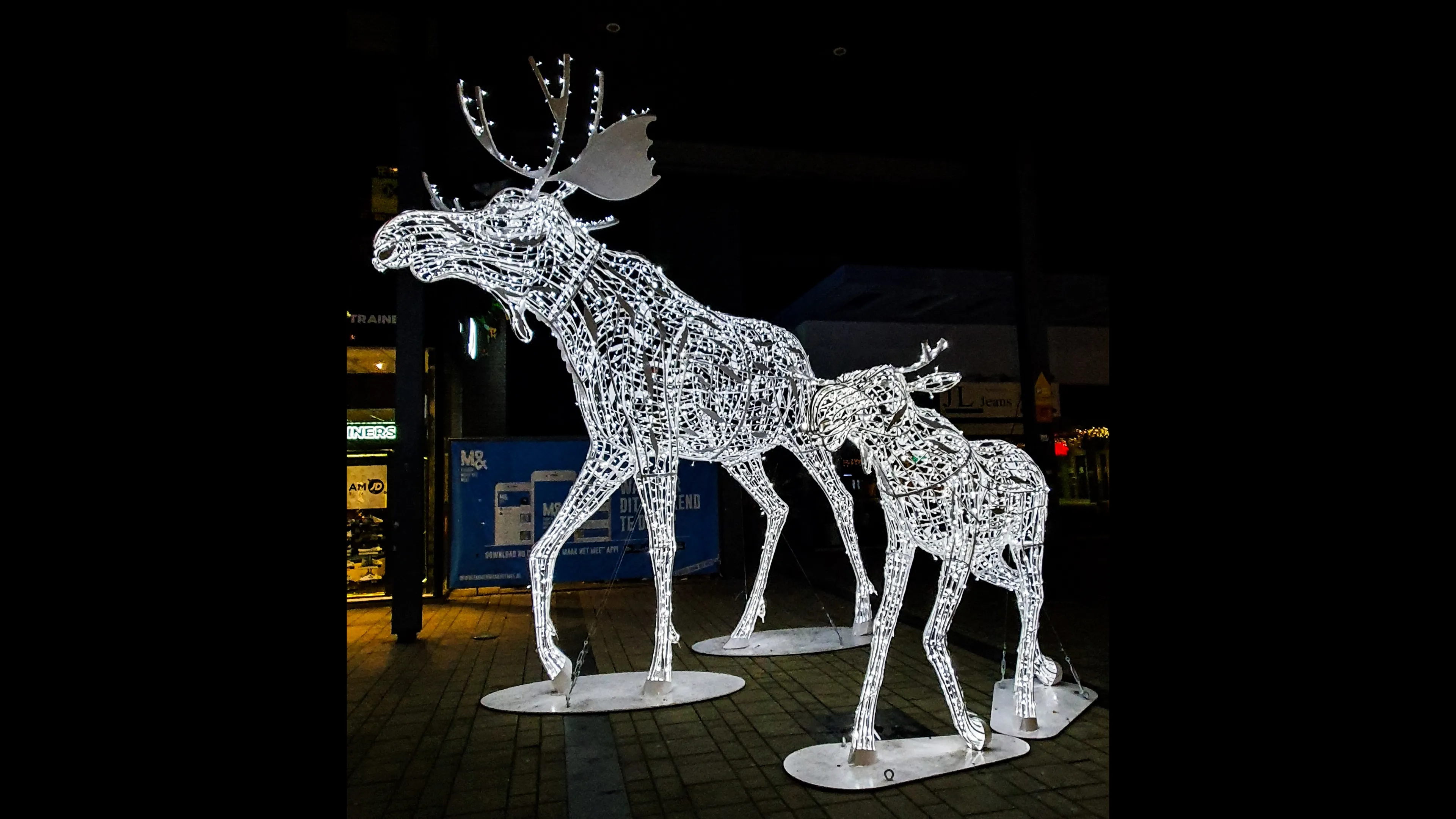 emmen-verlichtedieren-josewithagenbryan8