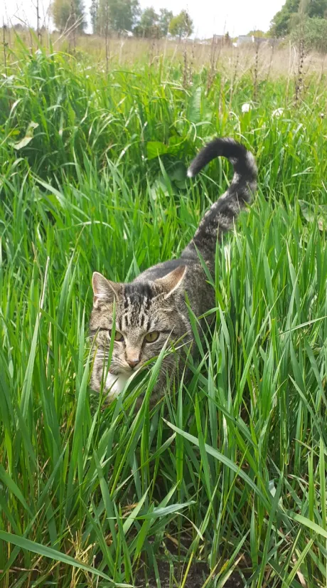 emmercompascuum-noortje