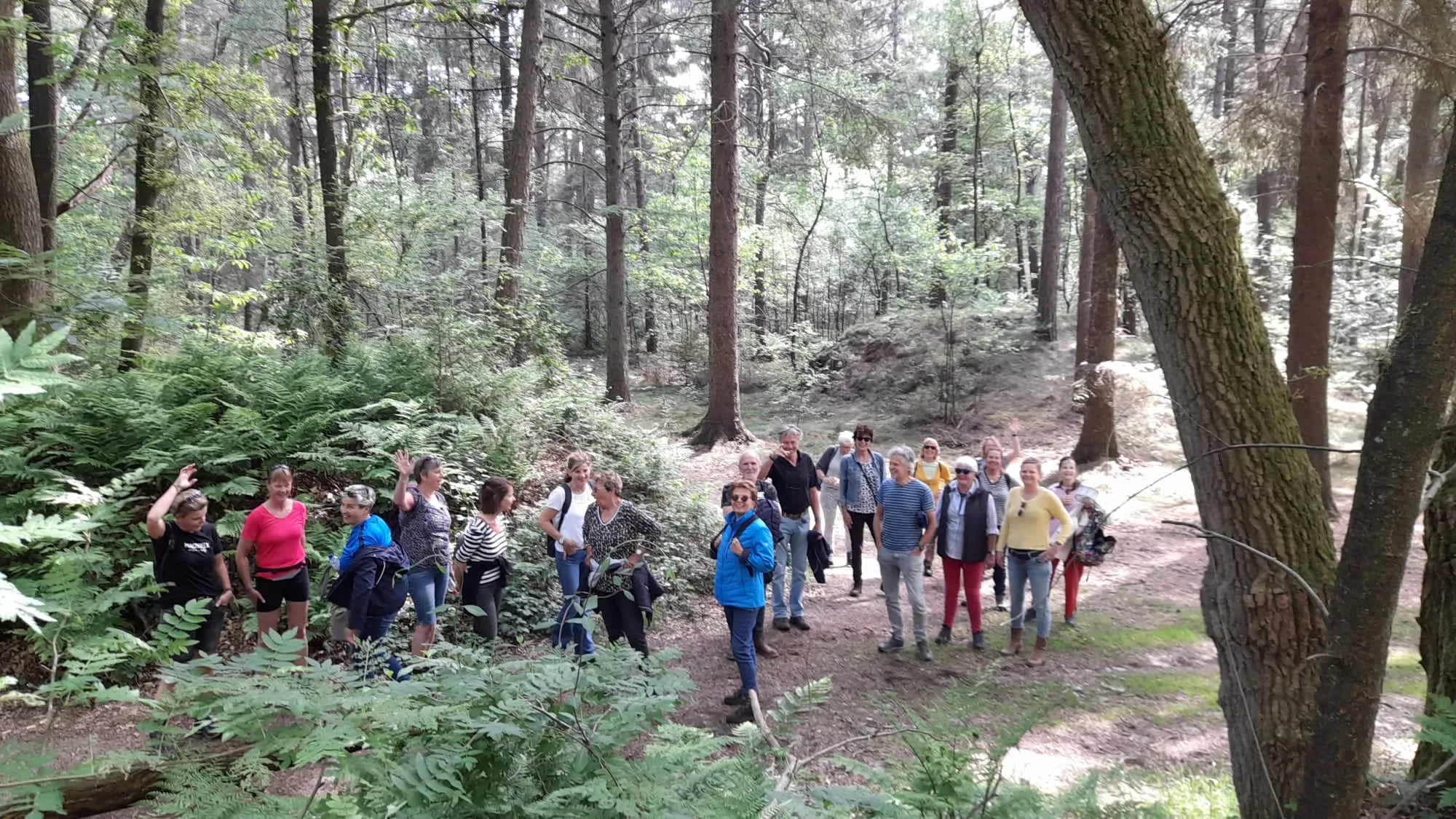 f25921ed-291b-4df9-8b1c-b13035593c45