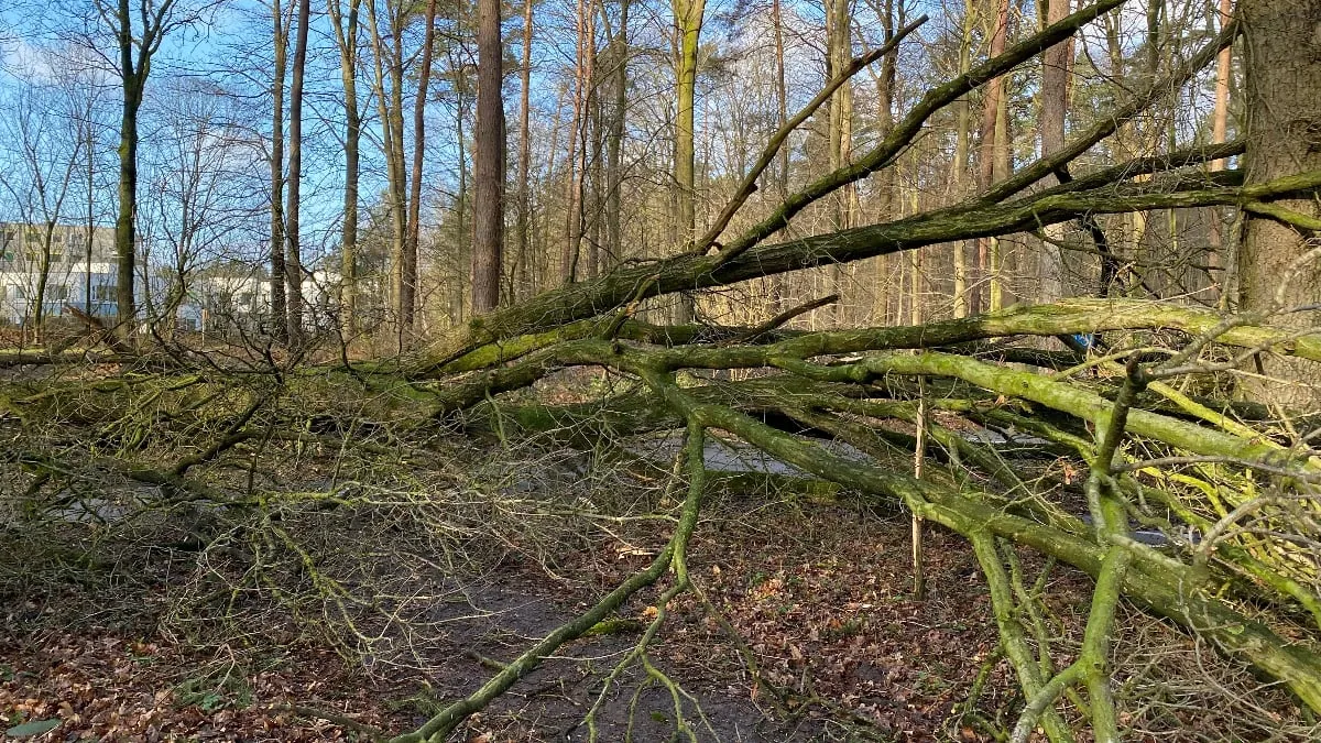 fietspademmenkevinnicholson1