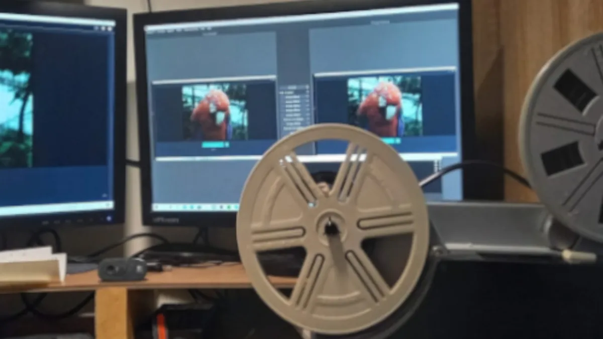 mandemolvideoproducties