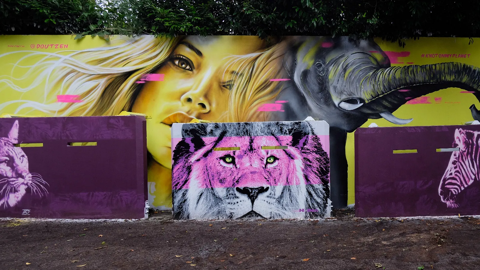 pics-by-martine-kiers-at-annietram77-20210620-113233-3