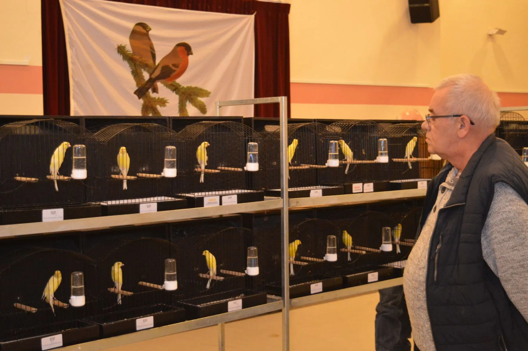 pn05122019-vogelweelde-ruinerwold5