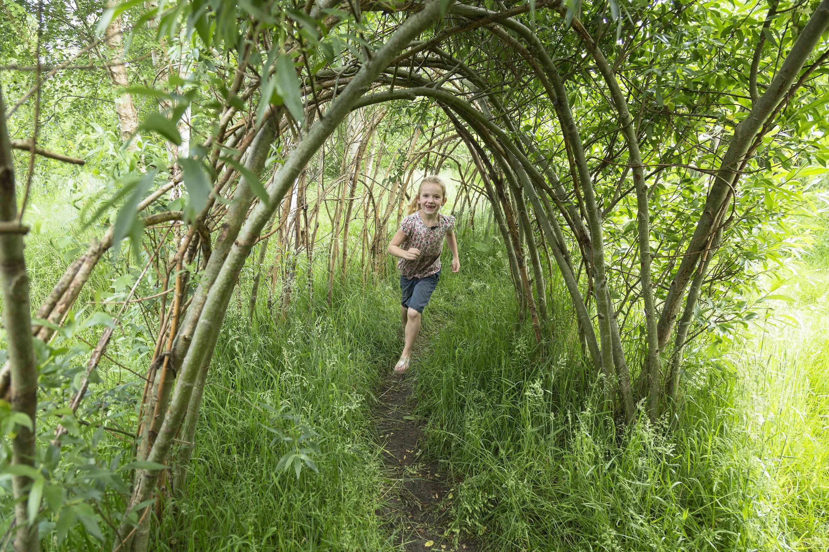 Ruinen BezCentrum Wilgenhuttendorp Andries de la Lande Cremer