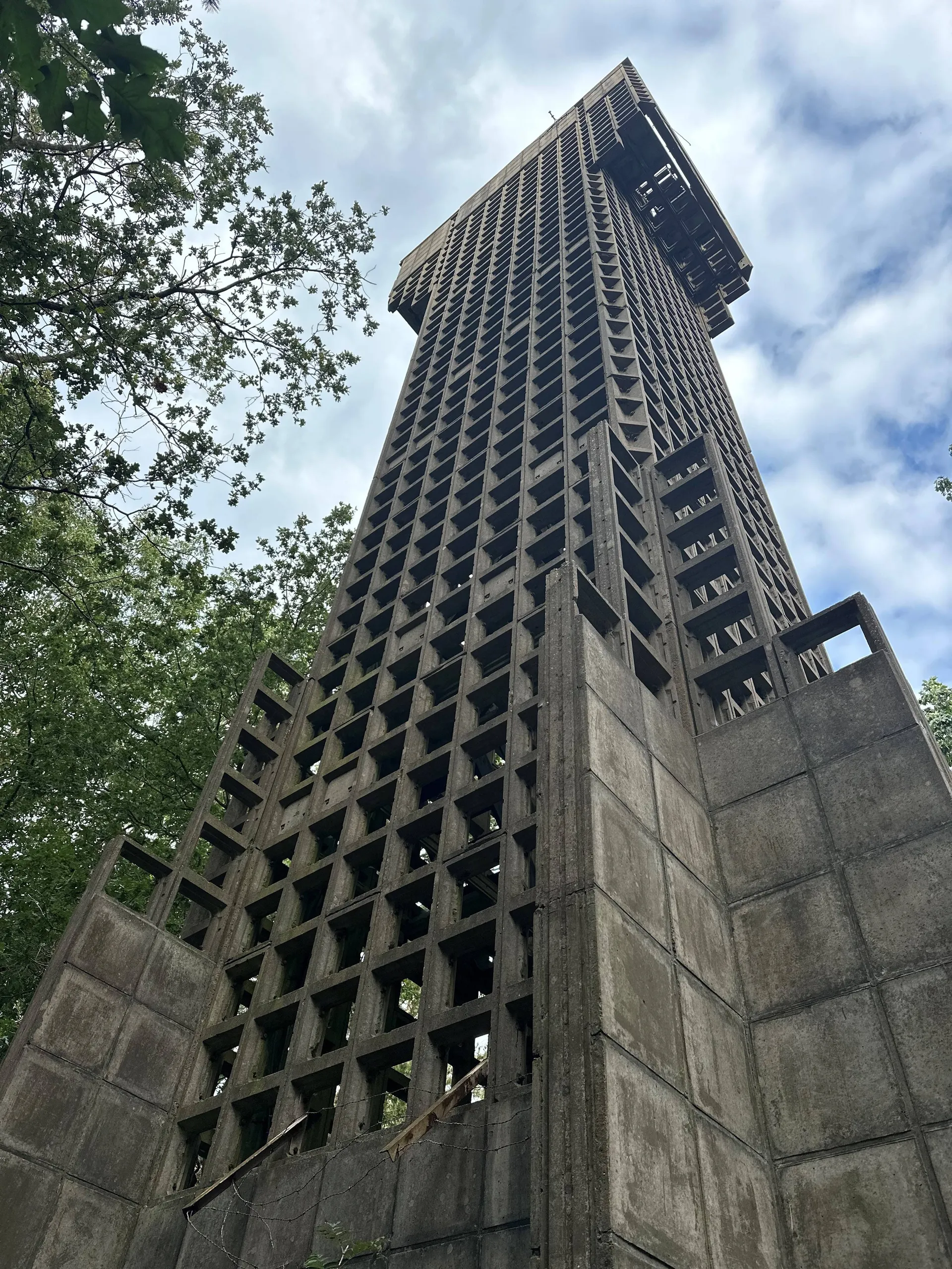 Ruinen Luchtwachttoren Hees - c Jojanneke Drijver Staatsbosbeheer