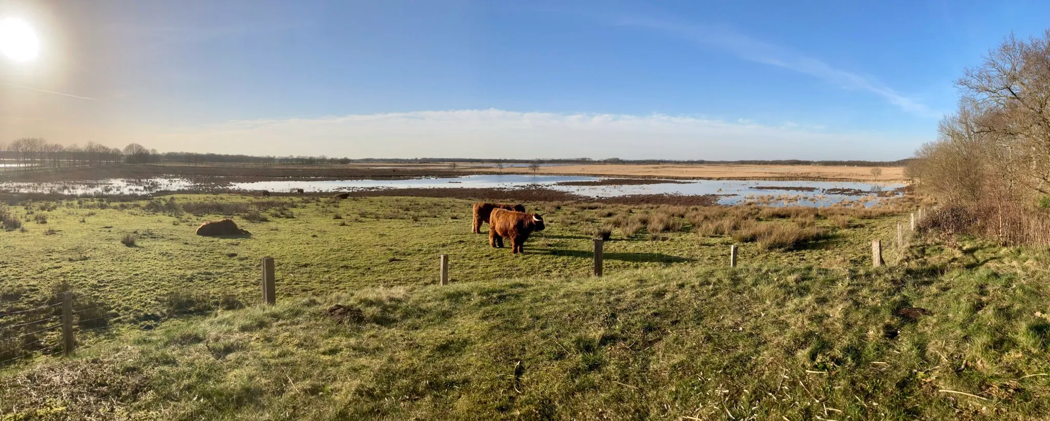 scharreveld-gerkhadders