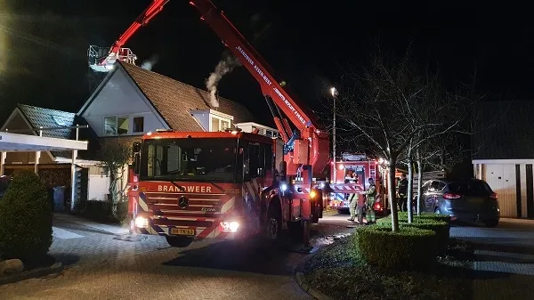 schoorsteenbrandsmilde