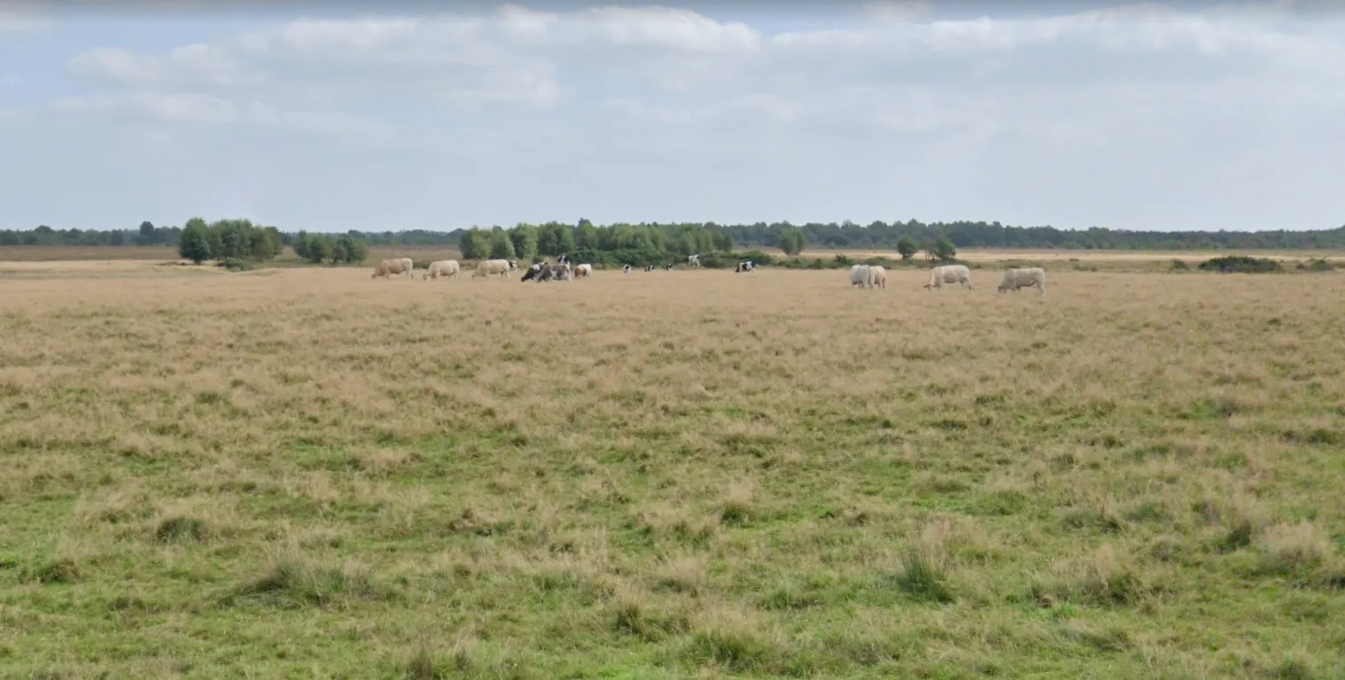 screenshot-2022-05-17-094803