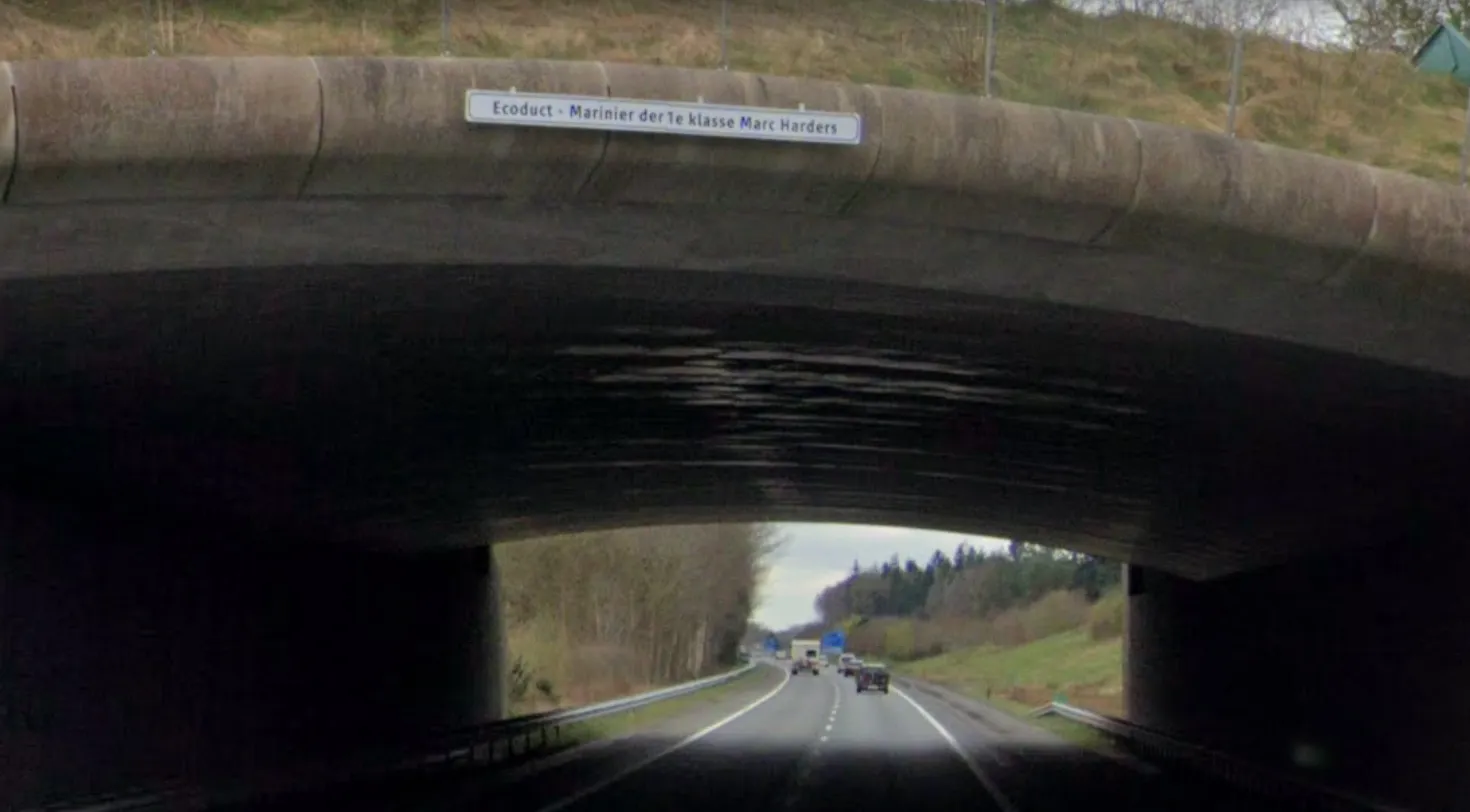 screenshot-2022-06-11-134024