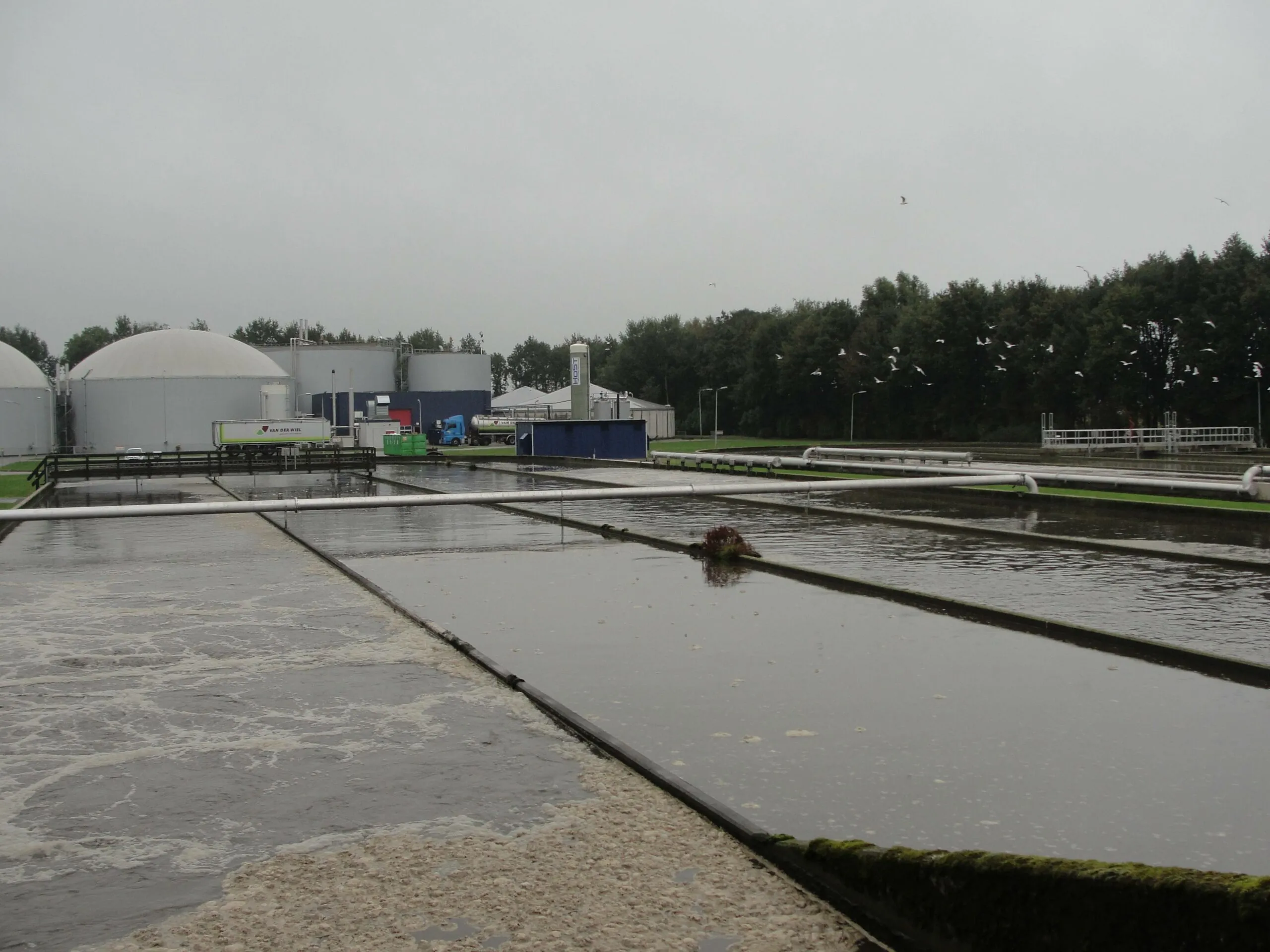 wdod-echten-rzwi-scaled