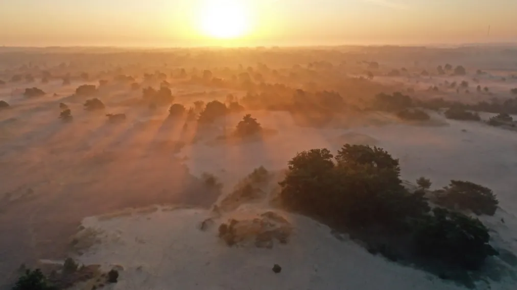 weer-februari-istock-03-10-2021-fochteloerveen-1