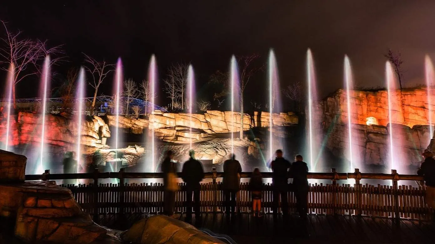 wildnights-in-wildlands-04