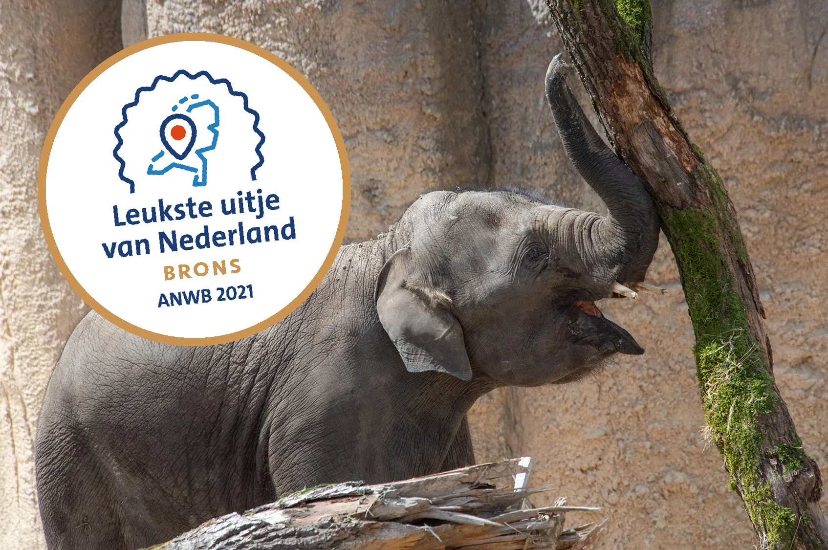 wl-leukste-uitje-klein