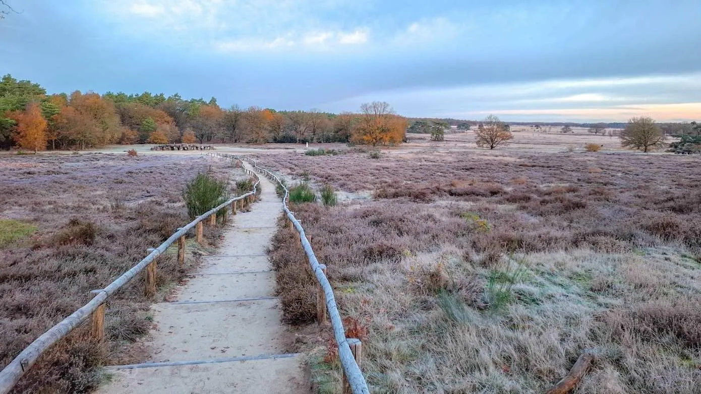 Herstelde trap Holtingerveld - C Staatsbosbeheer - Betsy Koning