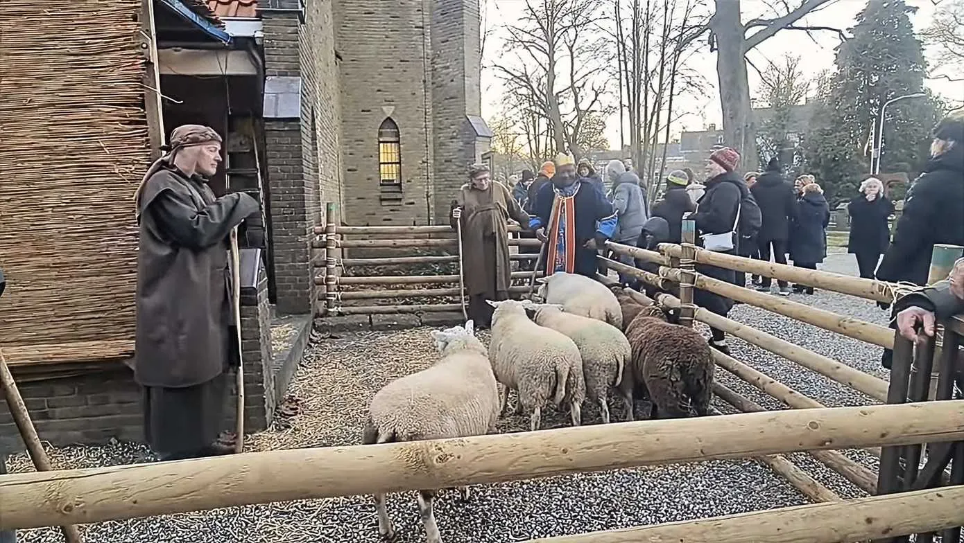 mariatenhemelopneming-1