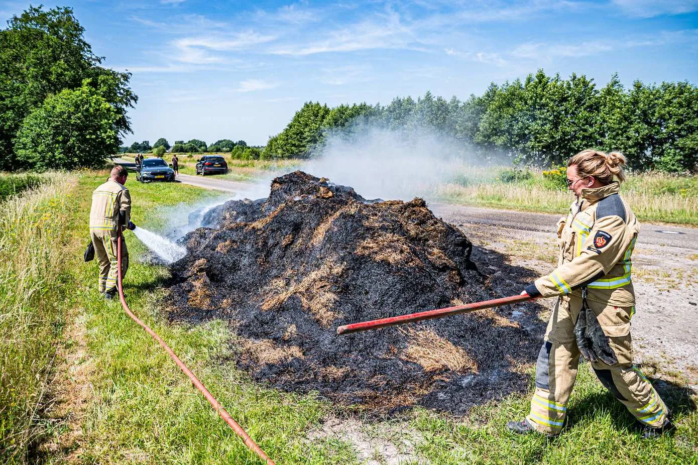 brandcompost