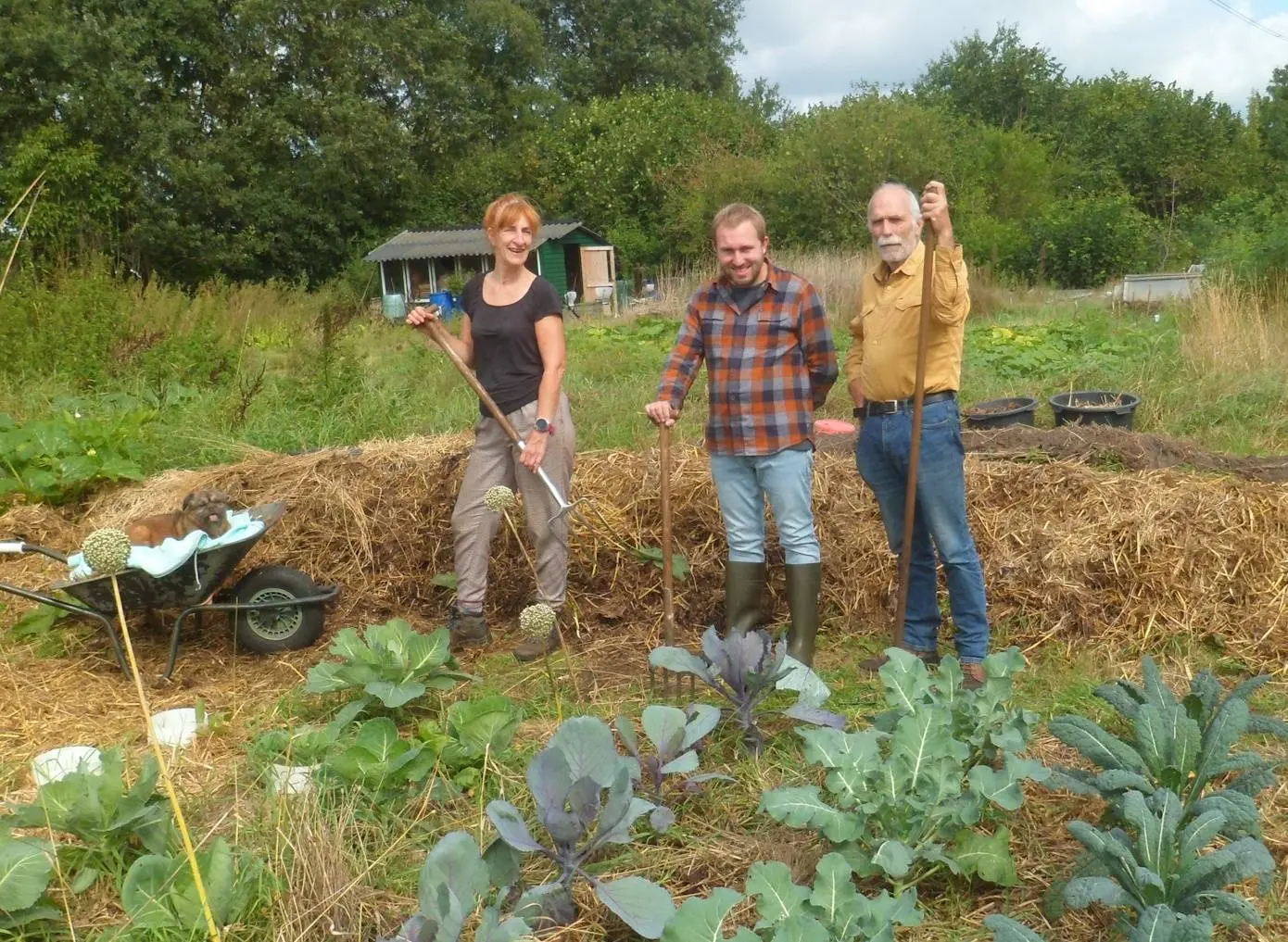 Foto bij persbericht Informatieavond Moestuinkollektief De Witte Vlieg