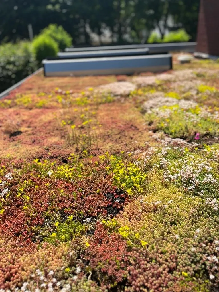 418219320 763592842468425 3269060718022232158 n