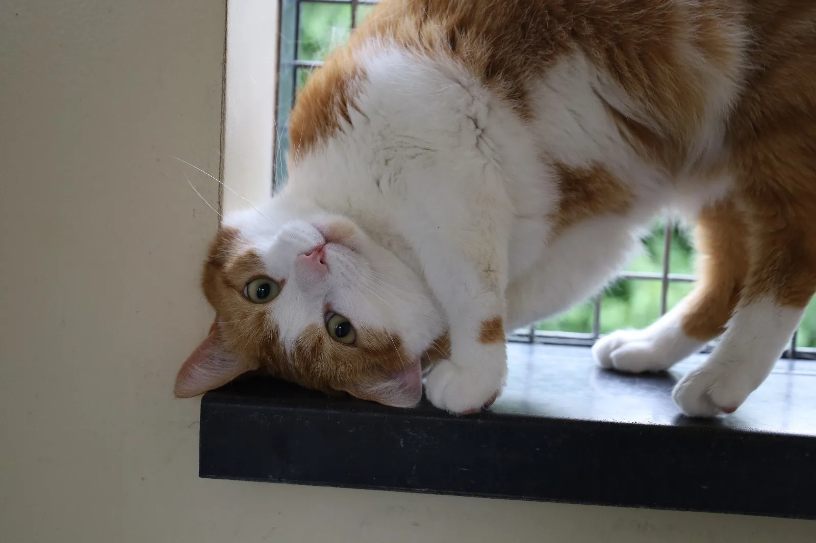 4942163f 28b3 42fa bcfe c82a05762919